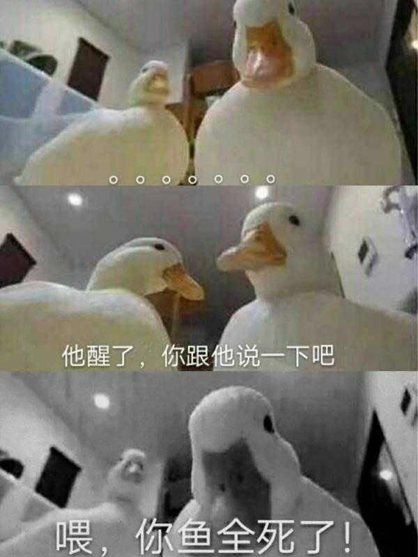 微信图片_20190116164835.jpg