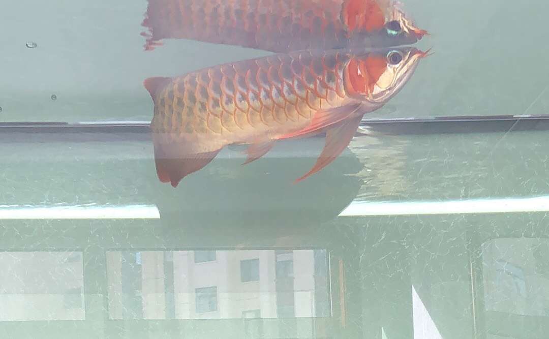 微信图片_20190120161206.jpg