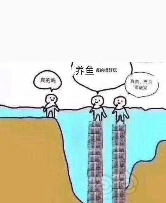 微信图片_20190227005629.jpg