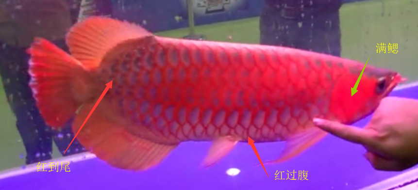 QQ图片20190316201011.png