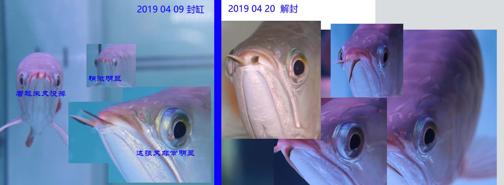 未标题-2 拷贝.jpg