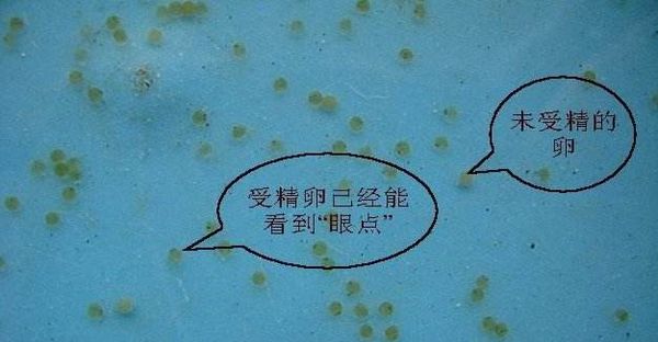314e251f95cad1c8d1b1ff51723e6709c93d51b9.jpg