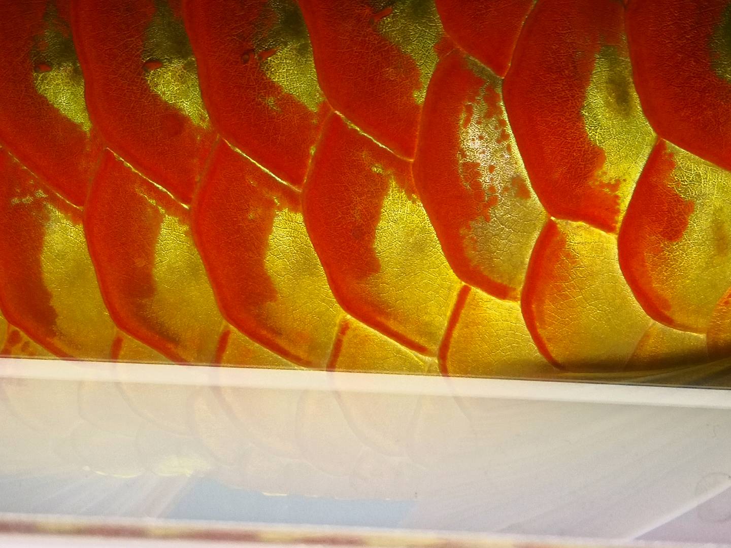 1648824810709_IMG_20220303_184632.jpg