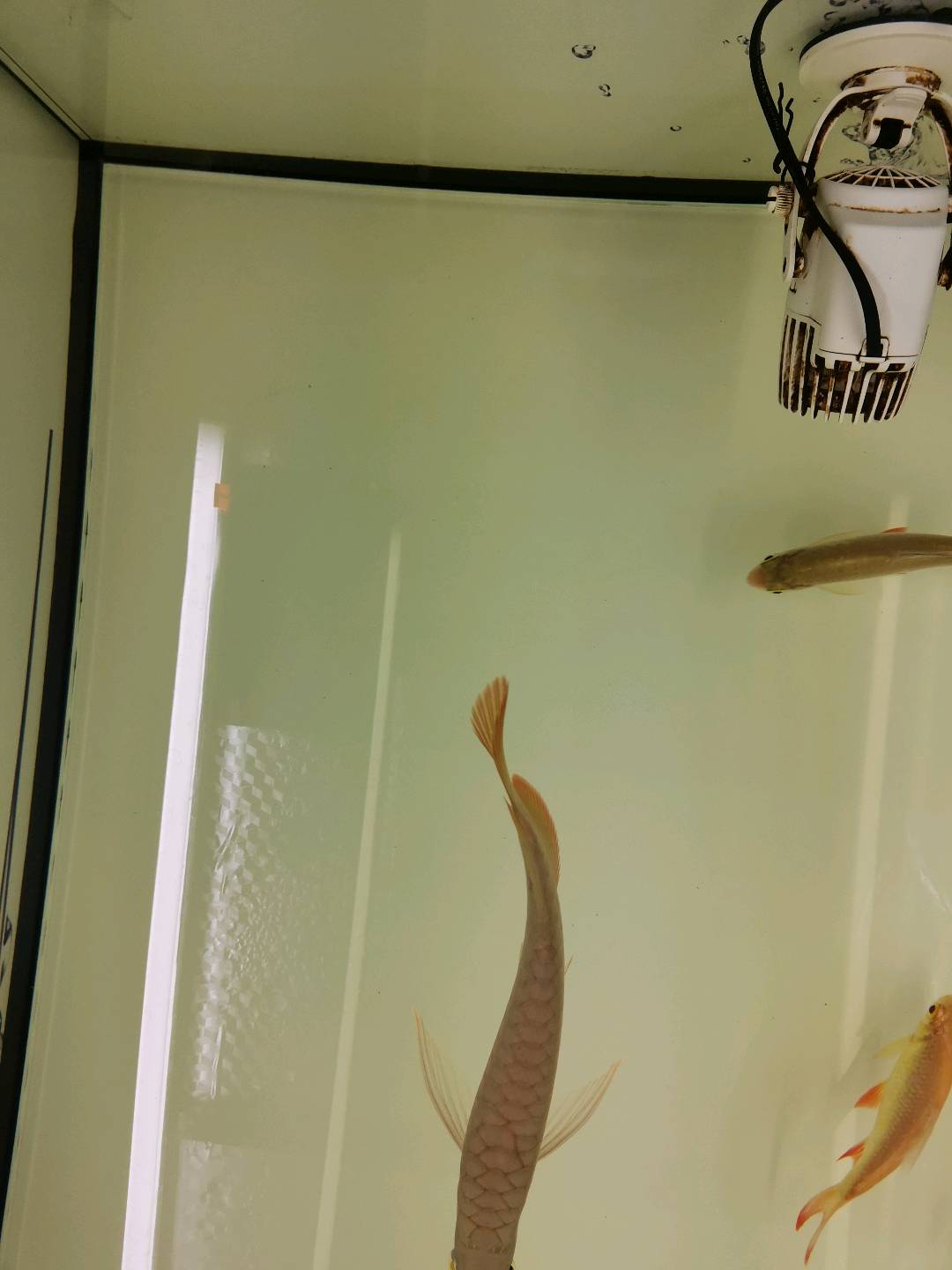 1654769400708_IMG_20220403_131028.jpg