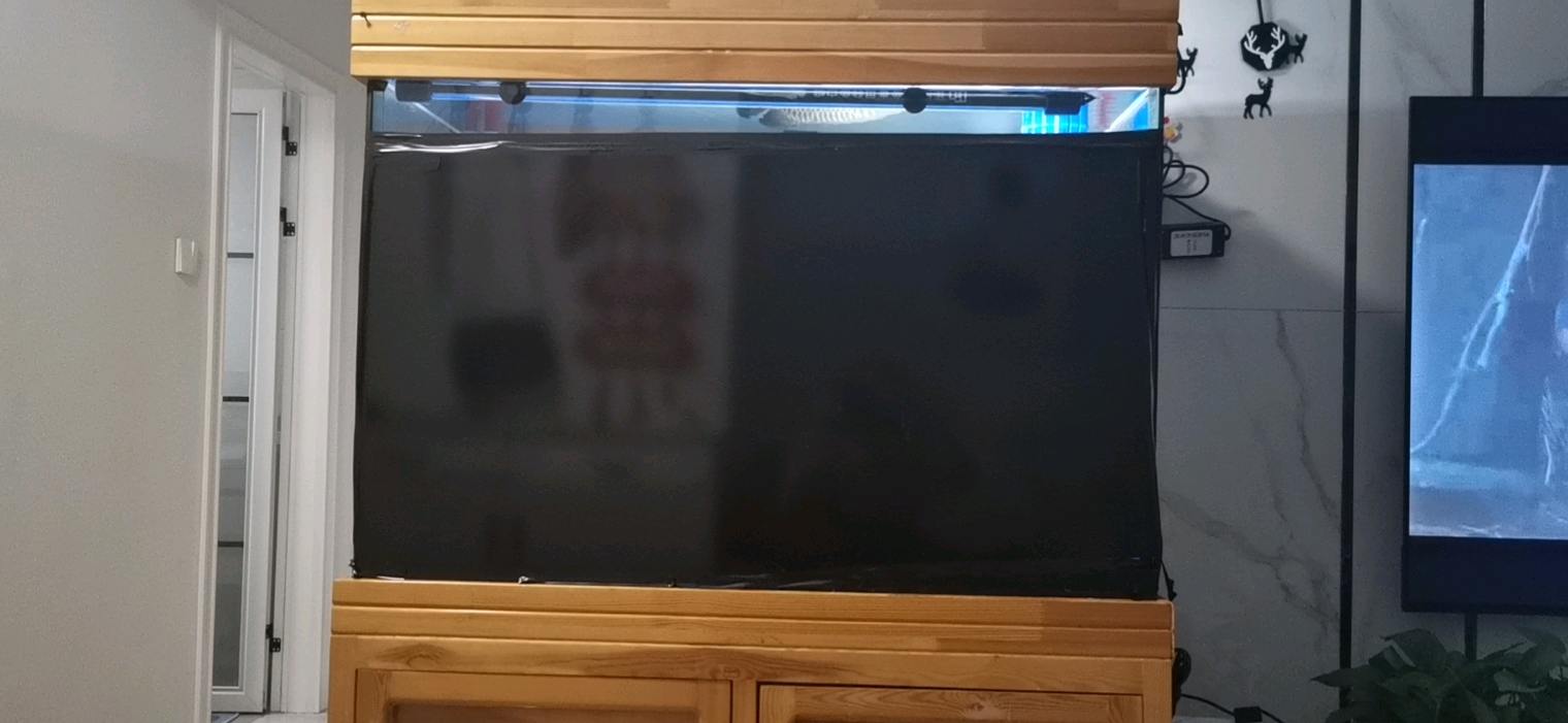 1666357696162_wx_camera_1666355956738.jpg
