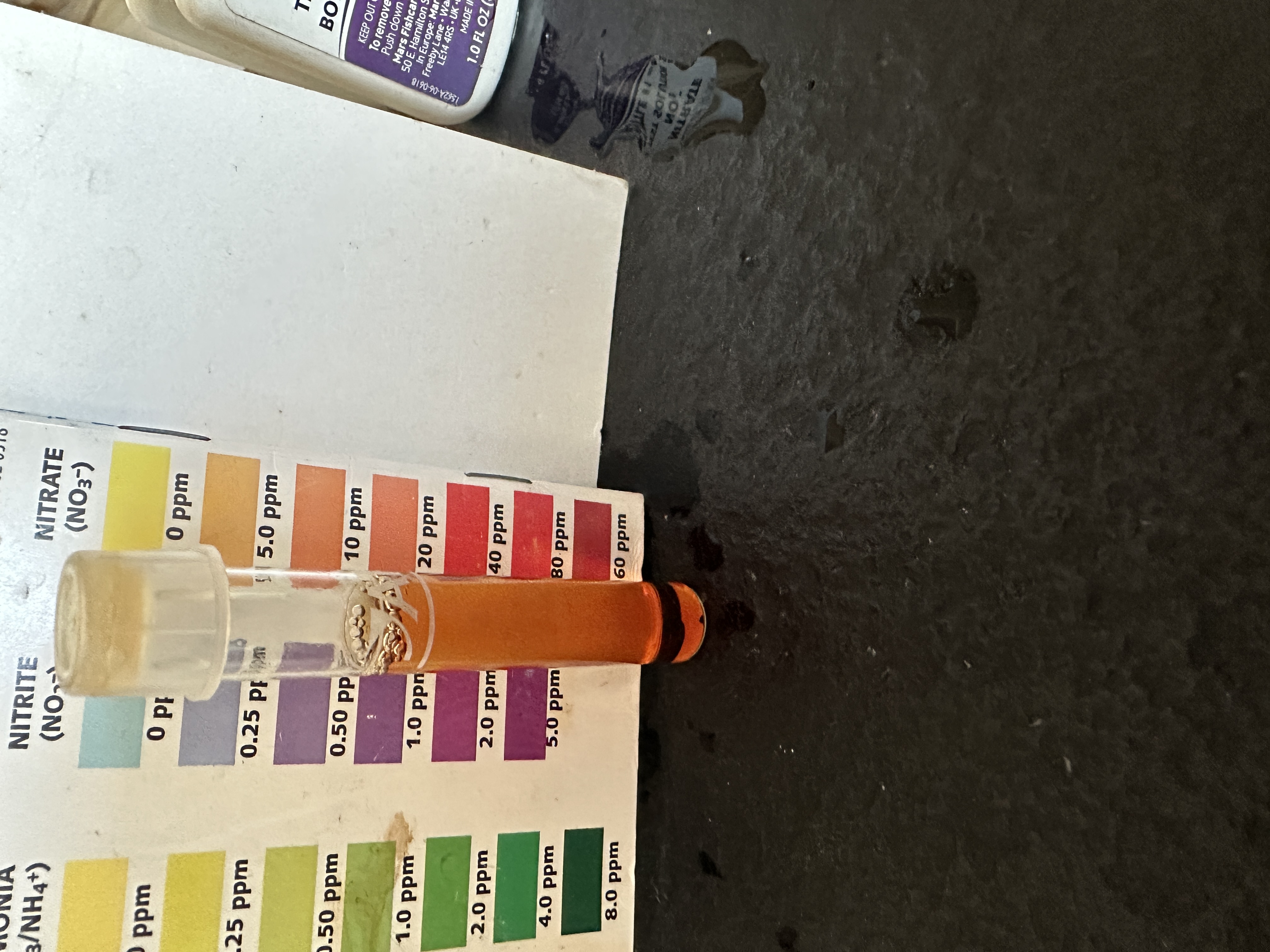 1674193035-origin-IMG_2084.JPG