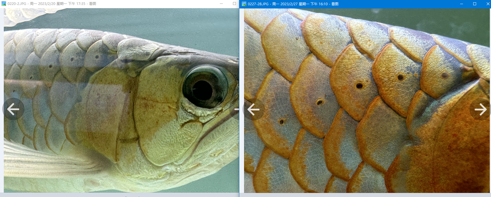 1677491086-origin-IMG_3421.PNG