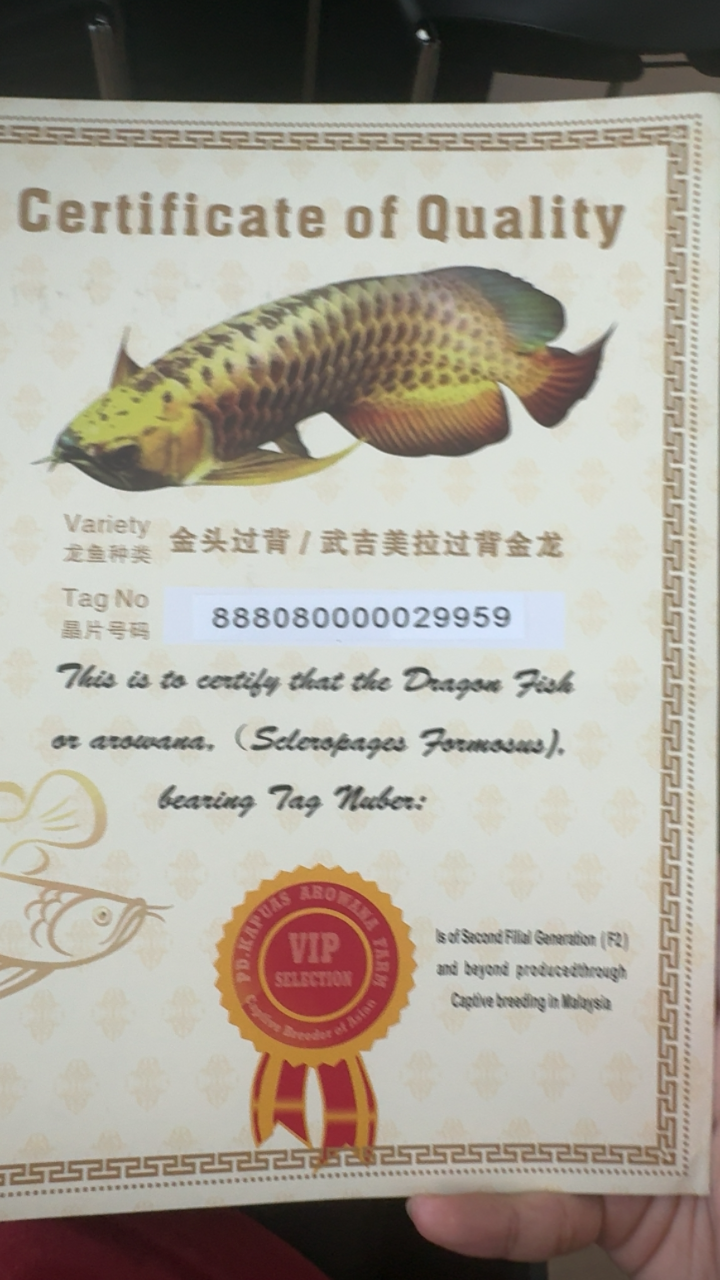 1754202308-origin-IMG_5683.PNG